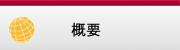 概要