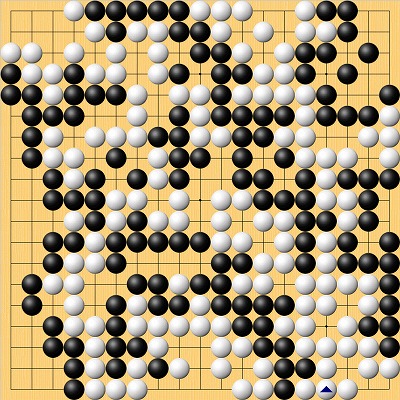 ネット囲碁レディース決勝戦