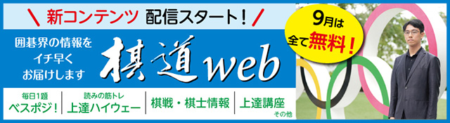 棋道web