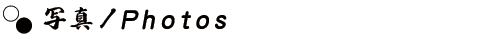 写真／Photos