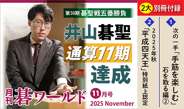 囲碁関連書籍58冊セット（バラ売り不可です） 囲碁関連書籍58冊セット（バラ売り不可です） 囲碁関連書籍58冊セット（